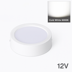 Corps blanc-6000K / 5W 12V