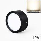 Corps noir-4000K / 5W 12V