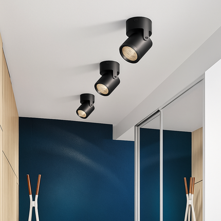 Spot LED coloré pour plafond — LZ4X9Q2