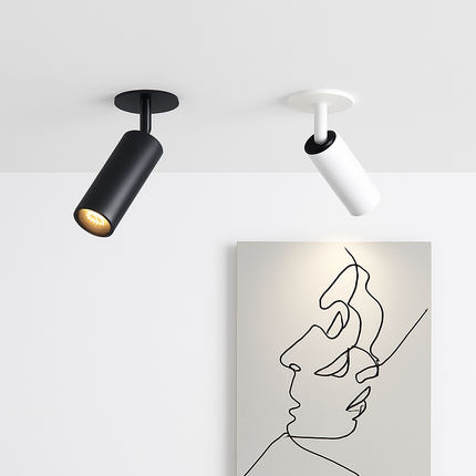 Spot plafond LED directionnel en blanc ou noir — LZ4X9P2