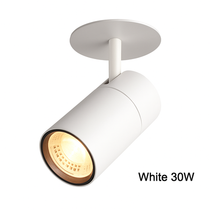 Spot plafond LED directionnel en blanc ou noir — LZ4X9P2
