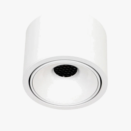 Spot LED ultra-mince réglable anti-éblouissement — LZ4P9XQ