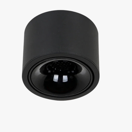 Spot LED ultra-mince réglable anti-éblouissement — LZ4P9XQ