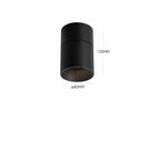 Noir / 3000K / CHINE|7 semaines