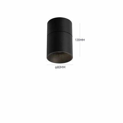 Spot directionnel rotatif 355° pour éclairage intérieur flexible — LZ4X9P
