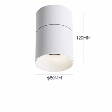 Spot directionnel rotatif 355° pour éclairage intérieur flexible — LZ4X9P