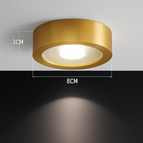 Diamètre 8cm / Lumière blanche / 3W