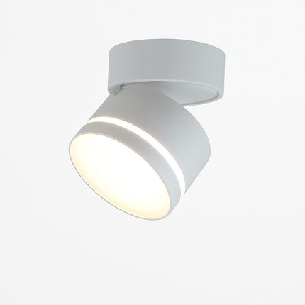 Plafonnier LED tube rotatif 7W-15W angle réglable pour intérieur — LZ4X9QJ2