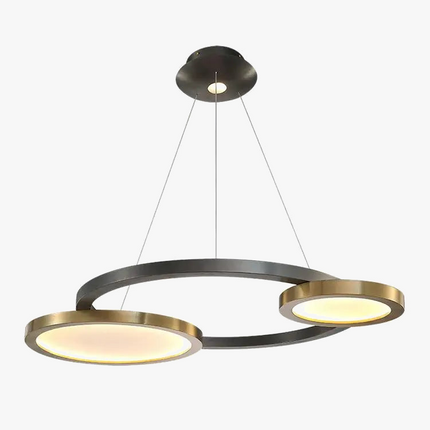 Suspension LED en acier inoxydable au design moderne pour intérieur — LZ4X9Q2