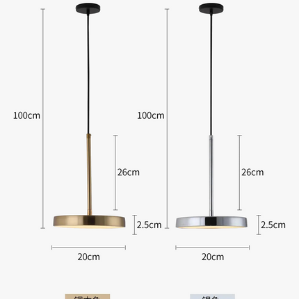 Suspension circulaire en fer au design nordique pour intérieur — LZ4X9P