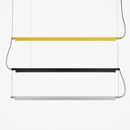 Doré / 120cm