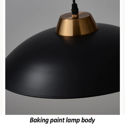 Suspension en métal au design moderne et élégant pour intérieur — LZ4X9T