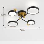 Noir 4H / Télécommande 220V