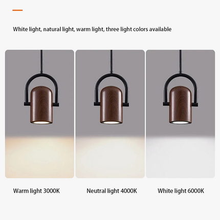 Suspension LED nordique avec spot mural orientable — LZ4X9M