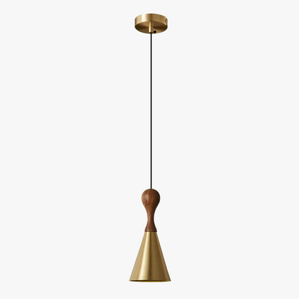 Suspension intérieure moderne en cuivre noir et or — LZ4X9P2