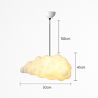 A / 100cm