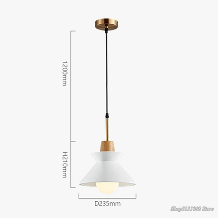 Suspension élégante pour salon et salle à manger — LZ4X9QJ