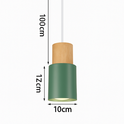 Suspension nordique en bois et métal vert — LZ4XJ9