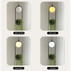 Pas de plantes / Lumière froide