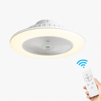 Blanc / Lumière blanche et froide / 220V